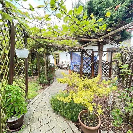 Innas Ambiente 民宿